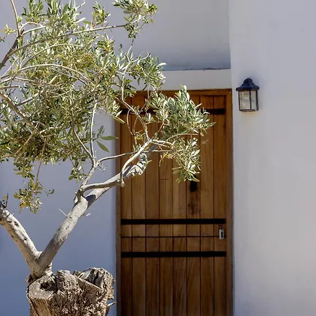 κυκλαδίτικο * Kionia